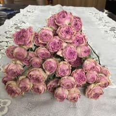 A.Y様    ご専用    spバラ     ドライフラワーのサムネイル