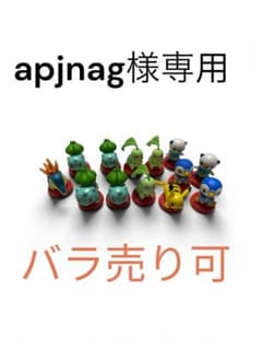 apjnag様専用　　フシギダネのサムネイル