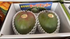 幻と呼ばれる　マンゴー　この夏、最後に食べたい幻の味。キーツマンゴー。2Kg 幻と呼ばれる マンゴー この夏、最後に食べたい幻の味。キーツマンゴー