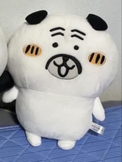 パグさんのぬいぐるみのサムネイル