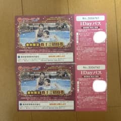 サマーランド　1dayパスのサムネイル