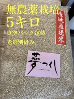 【真空＆脱酸素剤】無農薬 夢つくし 玄米10kg分を精米！色彩選別済 鮮度封印 令和7年産 福岡県産 夢つくし 玄米 5kg×2（10キロ）真空【農薬不使用