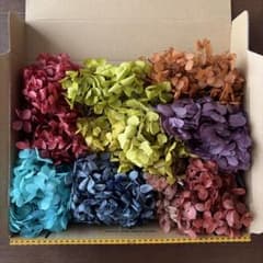 プリザーブドフラワー 紫陽花 花材のサムネイル