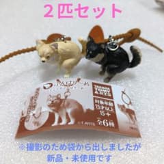 ふんばりーぬ どこでもふんばり〜ぬ 2匹セットのサムネイル