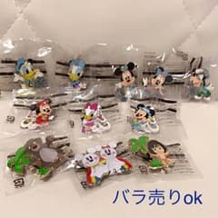 ディズニー パーク内限定バッジのサムネイル
