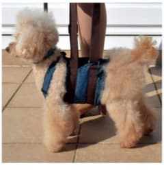 新品未使用 犬用介護ハーネス ウオークわんデニム Mロングのサムネイル