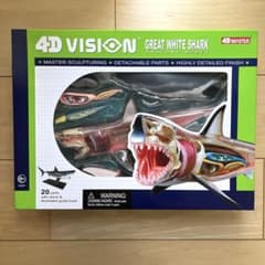 m70315893965_1.jpg?1728201006