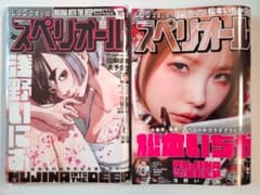 希少】【極美品】【MUJINA INTO THE DEEP】スペリオール 2冊 - メルカリ