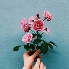 ❤︎ちぴちゃん様 専用❤︎のサムネイル