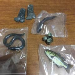 原色淡水魚図鑑Ⅱ 改正版のサムネイル