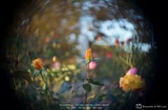Tele ZUNOW Cine 38mm F1.9 シネレンズ 単焦点 - メルカリ
