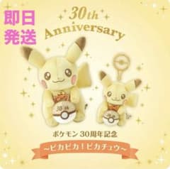 30주년 기념 피카츄 마스코트 & 봉제인형 세트