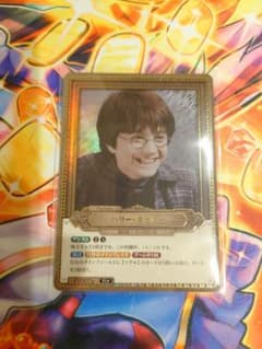 ハリー・ポッター トレーディングカード PT007a　PT★　パラレル ハリーポッター カードゲーム ハリー・ポッター PT007a PT☆ パラレル