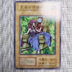 m70330126685_1.jpg?1757173271