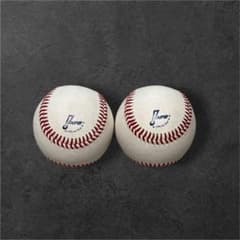 NPB 公式球 2個セットのサムネイル
