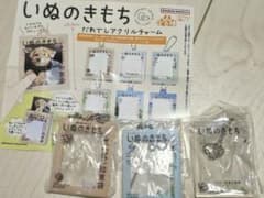 いぬのきもち　だれでもアクリルチャーム　ガチャガチャ　バラ売り可のサムネイル