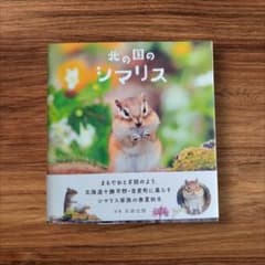 北の国のシマリスのサムネイル