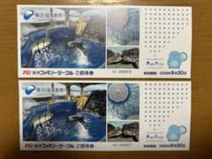 最終値下げ‼️新江ノ島水族館 招待券 2025年9月30日までのサムネイル
