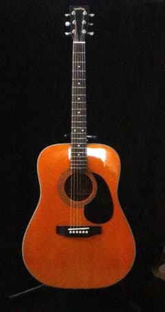 Headway HD-45S ANA ドレッドノートタイプ Headway HD-45S ANA ドレッドノートタイプ - メルカリ