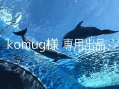 komug様専用のサムネイル