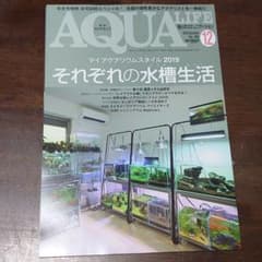 アクアライフ　2019年　12月号のサムネイル