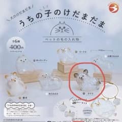 うちの子のけだまだま　チワワのサムネイル