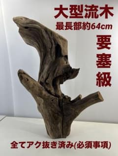 W90大型流木 アク抜き済み流木 爬虫類シェルター 登り木 インテリア 生け花 N29大型流木 アク抜き済み流木 爬虫類シェルター 登り木 インテリア