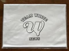 TEAM WHITE NEWS クラッチバッグ