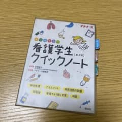 看護学生クイックノート 第2版のサムネイル