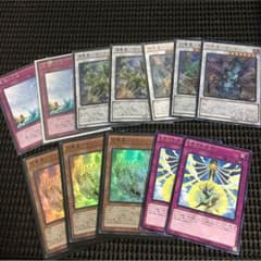 遊戯王 竜星 リフン ボウテンコウ 竜魂の幻泉のサムネイル
