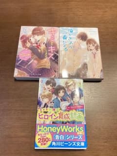 小説まとめ売りのサムネイル