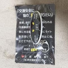 劇団四季キャッツスイングフラッシュかっ照君