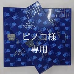 SAJ 雪シリーズ ヒップシートのサムネイル