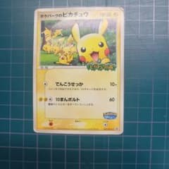 ポケパークのピカチュウ PROMO PCG-Pプロモカード 043/PCG-P - メルカリ