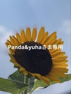 ハンドメイド 花びらコースターのサムネイル