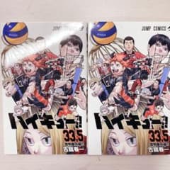 하이큐 쓰레기 버림장의 결전 특전 33.5권 2권 세트