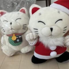 フジカラー パレットプラザ にゃん太 m70346459341_1.jpg?1719550244