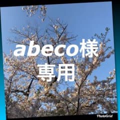 abecoさま専用☆ベリーベリーミニー!スペフォ３枚セットのサムネイル