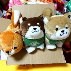 ＊ラン様 専用ページ＊豆柴 犬 ぬいぐるみセットのサムネイル