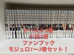 呪術廻戦 全巻セット 0〜30巻＋0.5巻＋小説2冊＋公式ファンブック