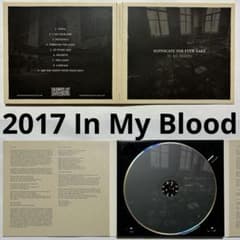 Suffocate For Fuck Sake – 2017 ポストハードコアのサムネイル