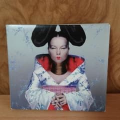 輸入版 CD Björk Homogenicのサムネイル