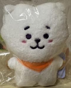 [가격 인하]BT21 탄탄 베이직 인형 S 사이즈 RJ #BTS