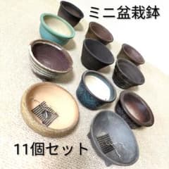 ミニ盆栽鉢 ミニ植木鉢 11点セット ミニ鉢 小鉢 陶器のサムネイル