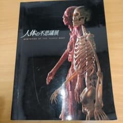 人体の不思議展 Mysteries of the Human Body Yahoo!オークション - 図録 人体の不思議展/MYSTERIES OF THE HUMAN BO
