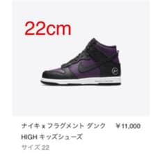 NIKE   ナイキ　フラグメント　ダンクのサムネイル
