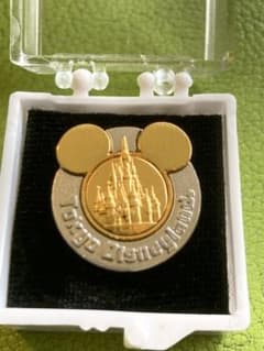 激レア 非売品 東京ディズニーランド 関係者 限定 シンデレラ城