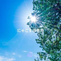 にゃこす様専用】綾瀬はるか松田聖子中山美穂写真Lサイズ39枚 - メルカリ