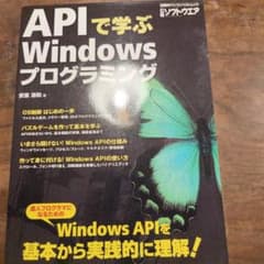 APIで学ぶWindowsプログラミング 基本から実践的に理解! - メルカリ