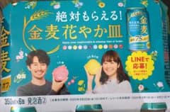 金麦 花やか皿 4ケース（96点）+12点　計108点　レシート　 応募券のサムネイル